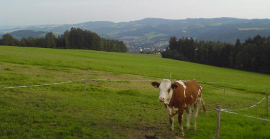 Bucklige Welt