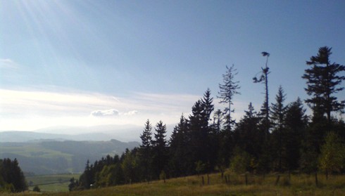 Bucklige Welt