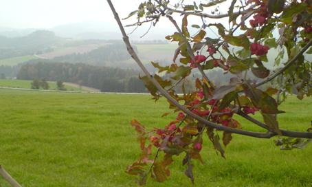 Bucklige Welt