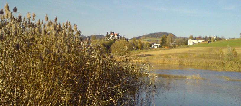 Bucklige Welt