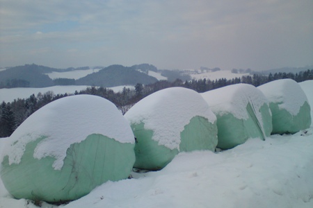 Bucklige Welt
