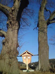 Bucklige Welt