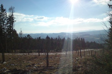 Bucklige Welt