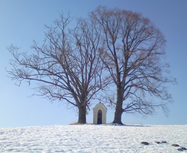 Bucklige Welt