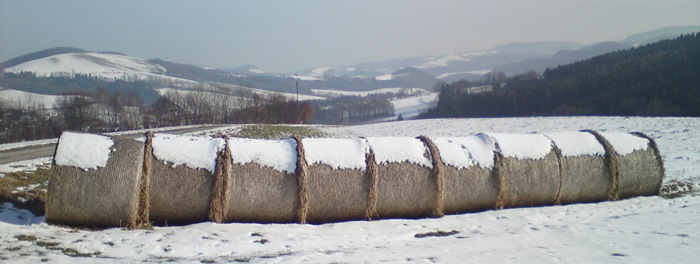 Bucklige Welt