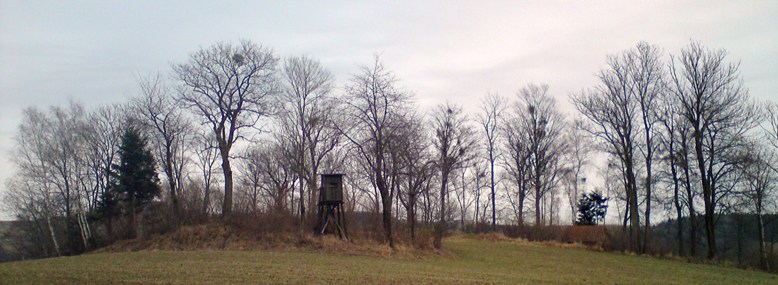 Bucklige Welt