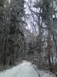 Bucklige Welt