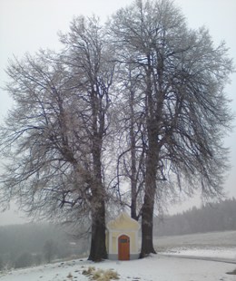 Bucklige Welt
