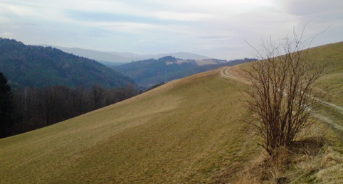 Bucklige Welt