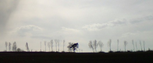 Bucklige Welt