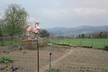 Bucklige Welt