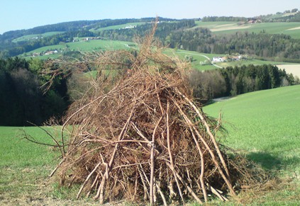 Bucklige Welt