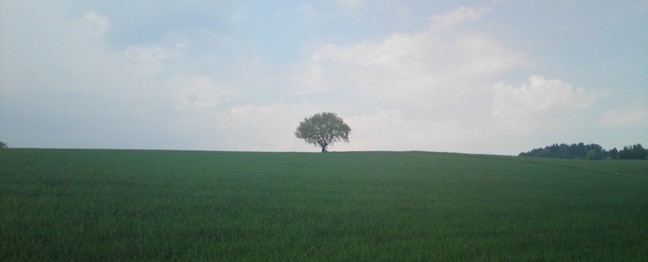 Bucklige Welt