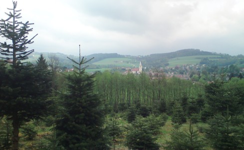 Bucklige Welt