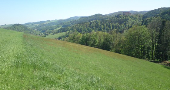 Bucklige Welt