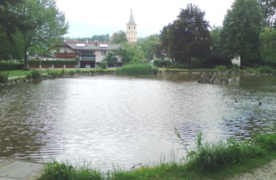 Bucklige Welt