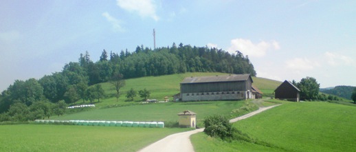 Bucklige Welt