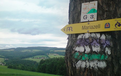 Bucklige Welt