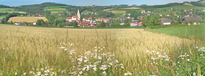 Bucklige Welt