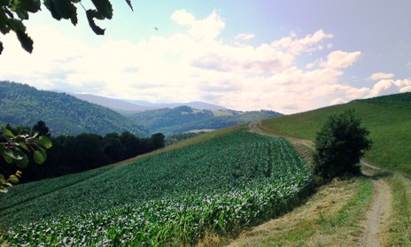 Bucklige Welt