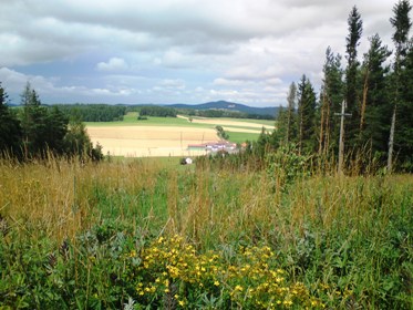 Bucklige Welt