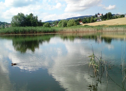Bucklige Welt