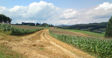 Bucklige Welt