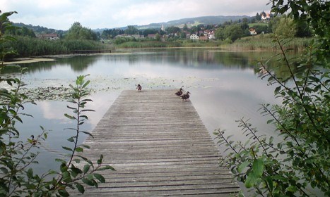 Bucklige Welt