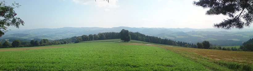 Bucklige Welt