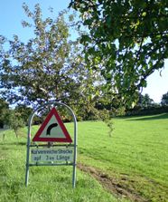 Bucklige Welt