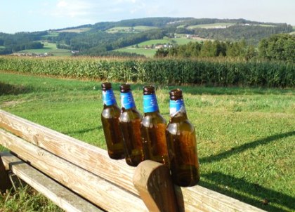 Bucklige Welt