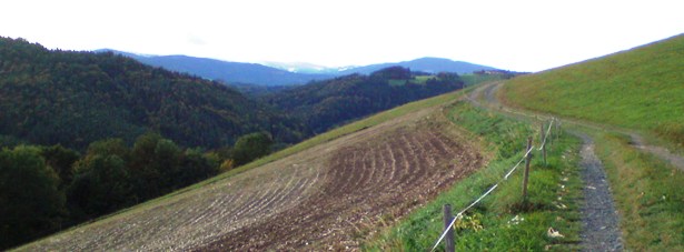 Schnee am Wechsel, Bucklige Welt