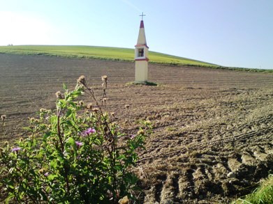 Bucklige Welt