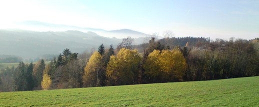 Bucklige Welt