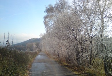 Bucklige Welt