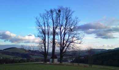 Bucklige Welt