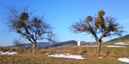 Bucklige Welt