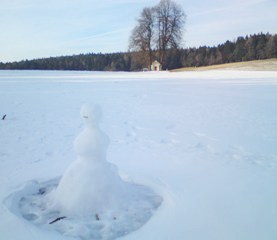 Bucklige Welt