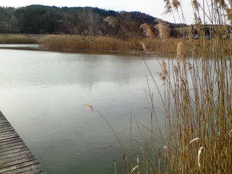 Bucklige Welt
