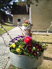Bucklige Welt