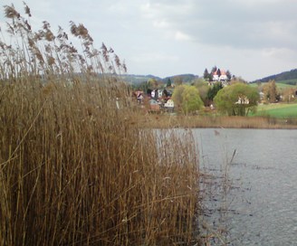 Bucklige Welt