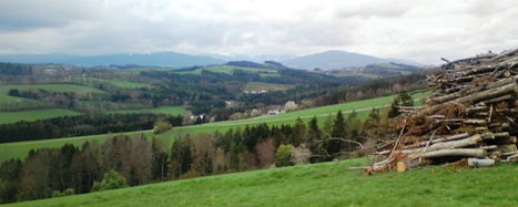Bucklige Welt
