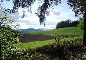 Bucklige Welt