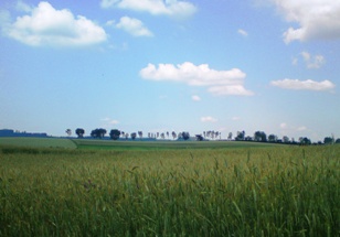Bucklige Welt