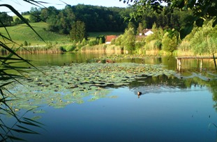 Bucklige Welt