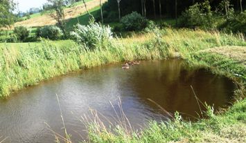 Bucklige Welt