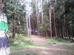 Bucklige Welt