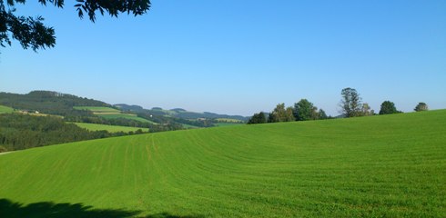 Bucklige Welt