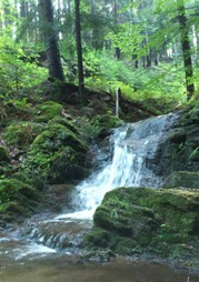 Bucklige Welt