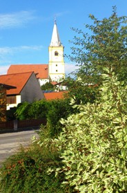 Bucklige Welt